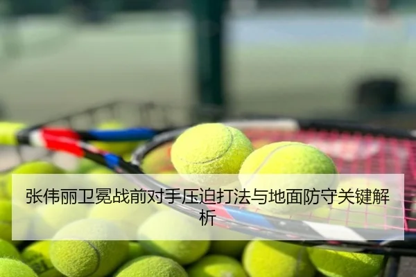 张伟丽卫冕战前对手压迫打法与地面防守关键解析
